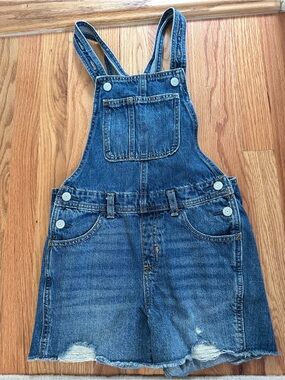 Denim Overalls